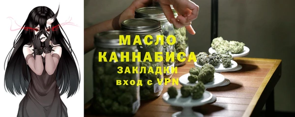 соль ск Вяземский