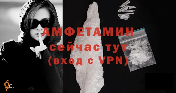 соль ск Вяземский