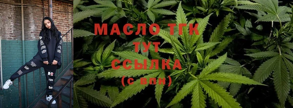 соль ск Вяземский