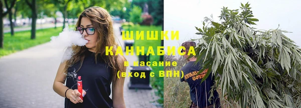 ГАЛЛЮЦИНОГЕННЫЕ ГРИБЫ Волоколамск