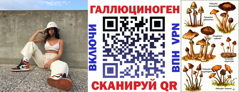 Псилоцибиновые грибы Psilocybe  ОМГ ОМГ сайт  Игарка 